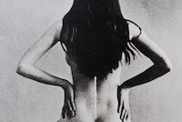 I Am Everything by Lotta Antonsson