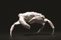 Finger Crab - Dorothy Cross