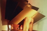 Jimmy De Sana, Cardboard, 1985