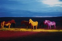 The Horses by Gareth McConnell