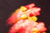 Eyes and Skies by Chad Moore