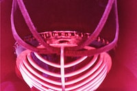 Red Patience by Josie Hall