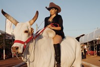 Luisa Dorr In the American South cowboy culture Brazil