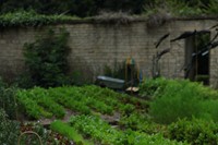 Richard Vine’s kitchen garden at Lucknam Park