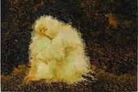 Georg Wilson, Darkness Came Over, 2025