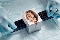 Slip Me the Master Key by Thomas Prior