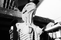 Camille Vivier, Biomechanoid (Carmen), 2022