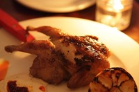 Grilled quail with burnt lemon, tahini-yoghurt and rose hari