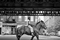 African-American Man on Horse, NYC