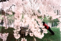 Devlin Claro: Crushing at Donald Ryan Gallery