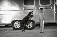 Short Form: Music Videos, Ads, and the Art of Moving Images