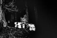 Halloween Photo Books