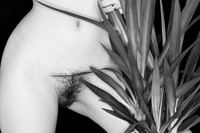 Phytophile Bela Borsodi female nude erotica plants