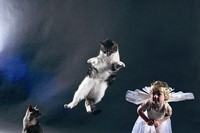 Image from Dancing with Cats by Burton Silver
