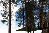 A Mirrored Treehouse