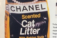 Chanel cat litter