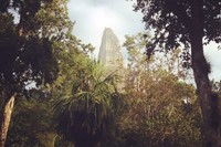 Where On Earth: Tikal Super-collider