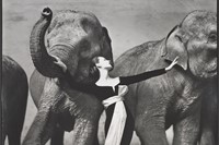 Dovima with elephants, evening dress by Dior, Cirq