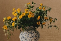 The Narcissist by Thevxlley