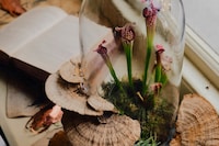 The Gilded Mischief by Giles Deacon