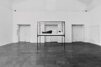 Tilda Swinton: Ongoing Rizzoli Book Exhibition Films