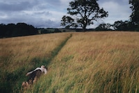 Rethinking Fashion Image, Photography Exhibition, CSM