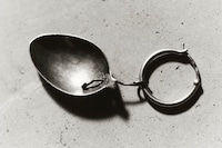 Gilded Lilies by Steph Wilson, photo book