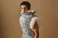 The Narcissist by Thevxlley