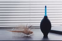 Pages from Seeing by Erik Gustafsson