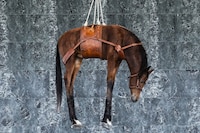 Night by Maurizio Cattelan 