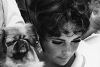 Elizabeth Taylor and her Pekingese take a little time out du