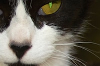 Lisa Blackpink AnOther Autumn/Winter 2025