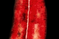 Dykes by Emily Lipson