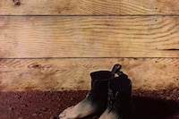 The Red Model, René Magritte, 1934