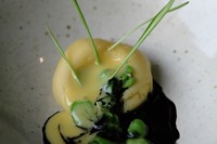 Heritage potato, broad beans, barley grass, and coal-infused