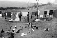 Art Work: On the Creative Life by Sally Mann