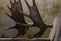 Rust Never Sleeps, Rick Owens Furniture, Mich&#232;le Lamy