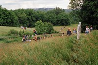 Widening the Lens at the Carnegie Museum of Art