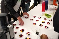 Vegetable Jellies at Mad Foodcamp, Copenhagen