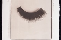 Catching Flies with Honey by Joy Gregory 