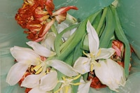 All the Love and None at the Same Time