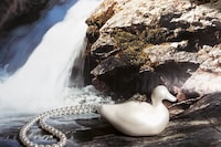 Vytautas Kumža for AnOther Magazine Spring/Summer 2025