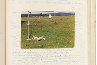 Water Over Thunder: Selected Writings by Larry Sultan