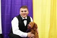 Westminster Kennel Club dog show 2014