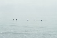 Catherine Opie for AnOther Magazine 