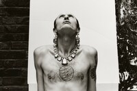 Gilded Lilies by Steph Wilson, photo book