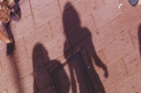 Windows by Gareth McConnell