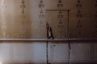 The Only True Protest is Beauty Dries Van Noten Fondazione