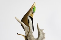 Vytautas Kumža for AnOther Magazine Spring/Summer 2025