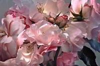 Rose by Nick Knight (2008)